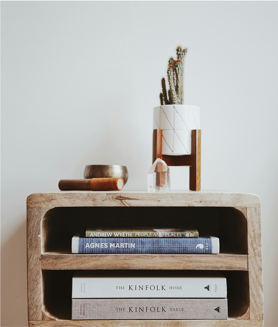 A wooden shelf with books, a potted cactus, and decorative items in a minimalist home setting.